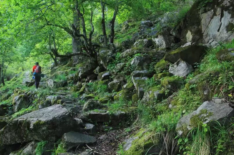 Nanda Devi National Park, India